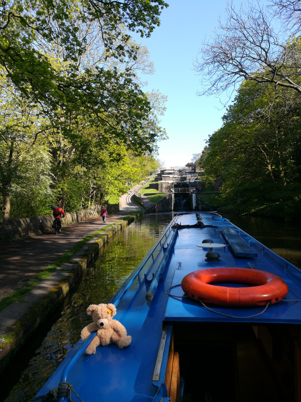 Leeds and Liverpool Canal : May 2019
